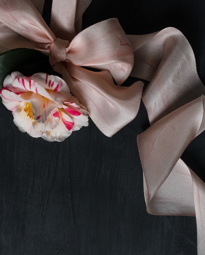 Blush ribbon with camellia
